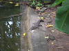 s_A_PICT0058_thumb.png